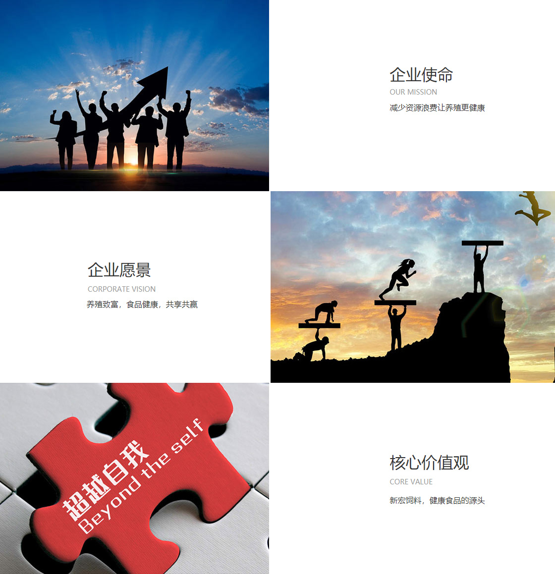 贝博bb平台体育全站版(图1)
